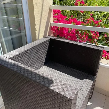 Guest house Roberto Palma Nova (Mallorca)