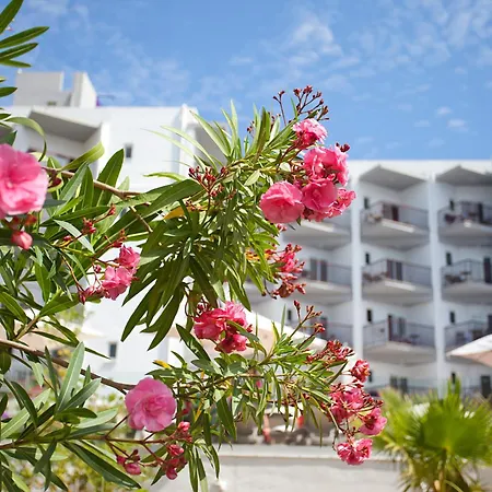 Hotel Fergus Bermudas 4*