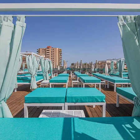 Marsenses Rosa Del Mar &
