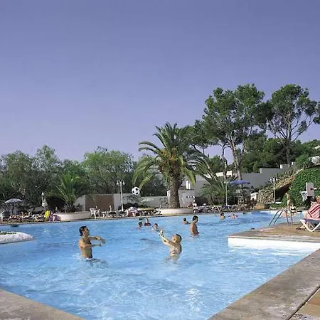 Globales Mimosa Hotel 4*