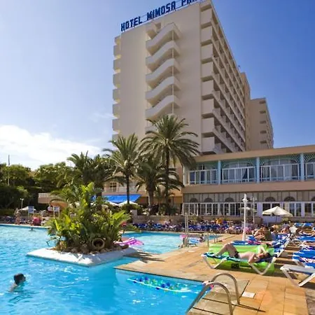Hotel Globales Mimosa