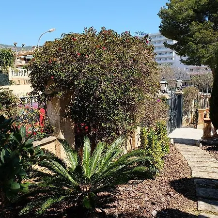 Villa Carmen Palma Nova (Mallorca)