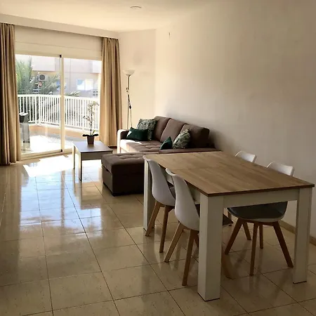 Palmeras Palmanova