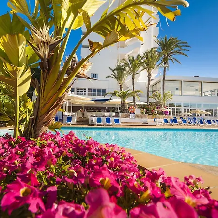Hotel Globales Mimosa