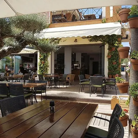 Acogedor Apartamento A 100 Metros De La Playa Apartment Palma Nova (Mallorca)