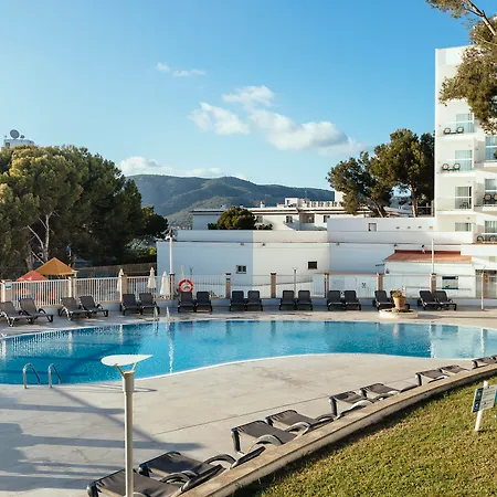 Aluasun Torrenova Palma Nova (Mallorca)