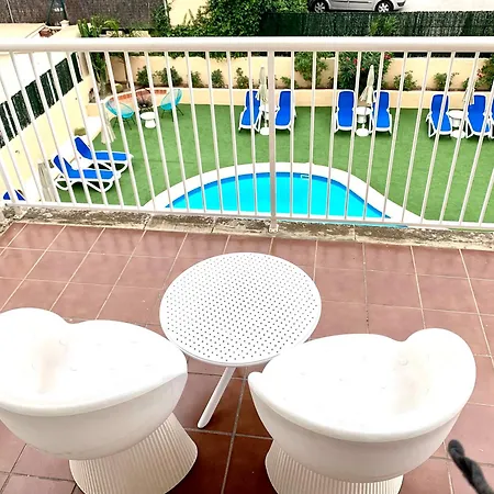Palmeras * Palma Nova (Mallorca)