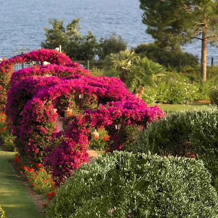 Resort The St. Regis Mardavall Mallorca 5*
