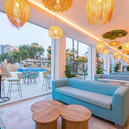 Marsenses Rosa Del Mar &