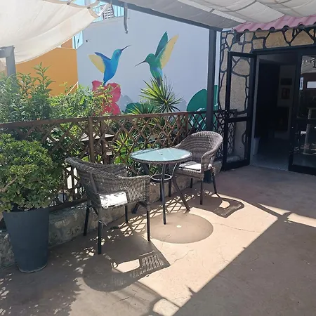 Belgica Guest house