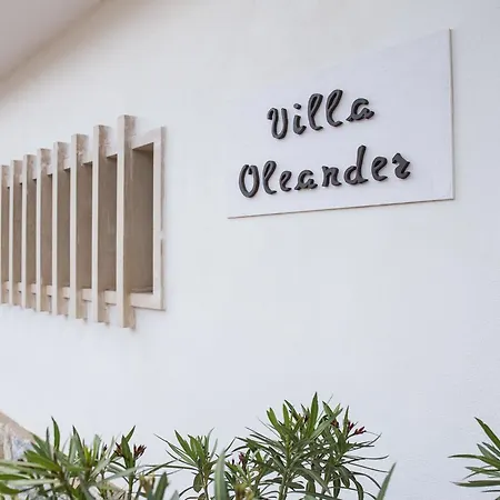Oleander *