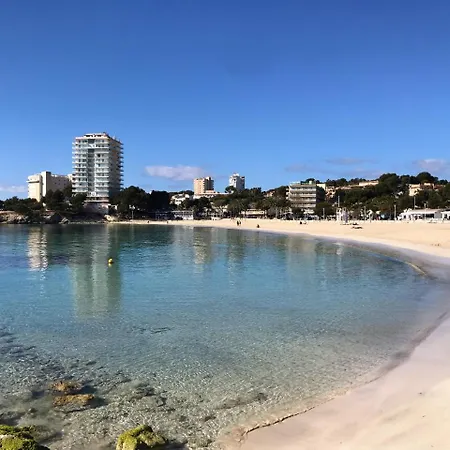 Palmeras *