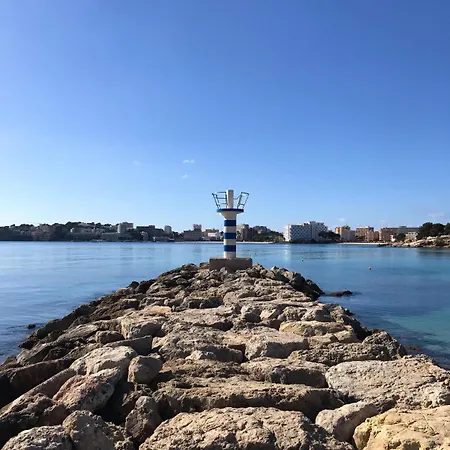 Palmeras * Palma Nova (Mallorca)