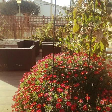 Apartment Oleander *