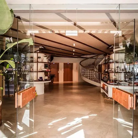 Hotel Zel Mallorca (adults Only) Palma Nova (Mallorca)